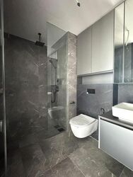 Irwell Hill Residences (D9), Apartment #470392681